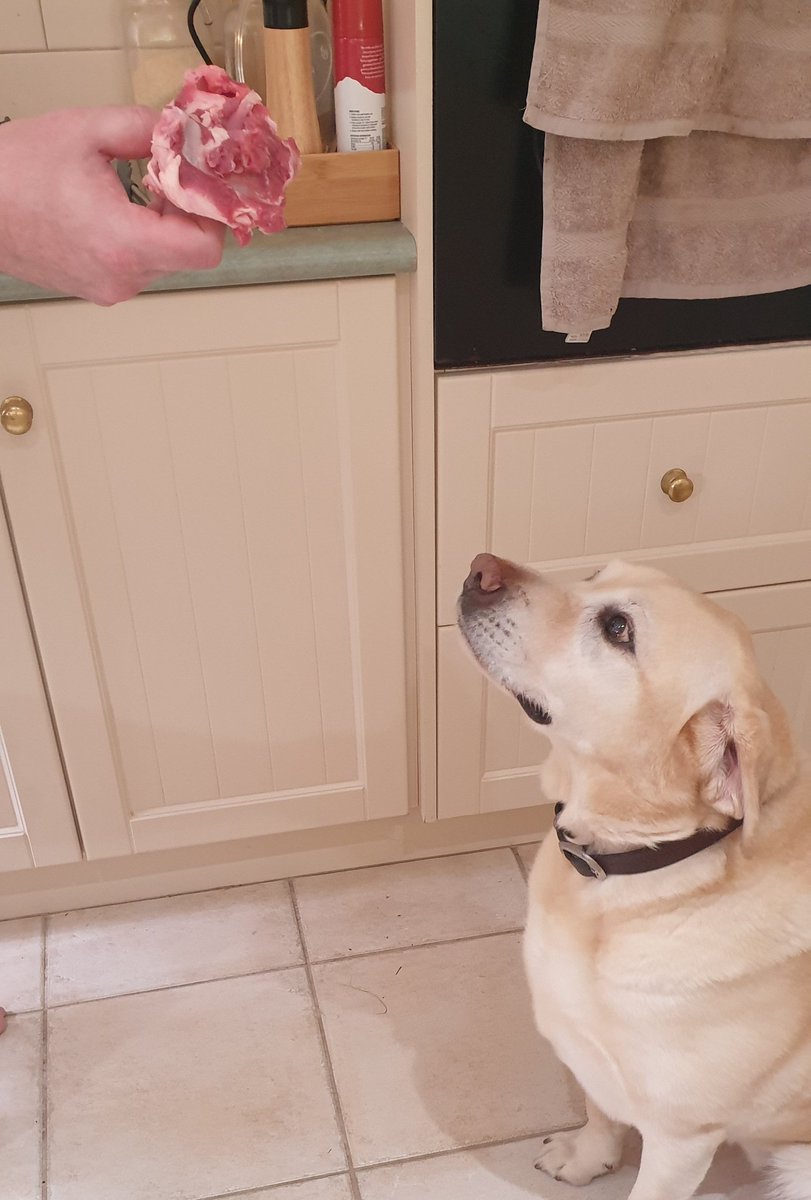 Malk_AU's tweet photo. Seeing Dad for the first time in nearly 6 months tonight
Slight change up for #SlowCookerSaturday where this was the smallest leg of lamb available ๐ณ
My butchering and butterflying skills would disturb a coroner - the dog approves! - but it all fits in the dish and we're away! https://t.co/S010Zh2hln