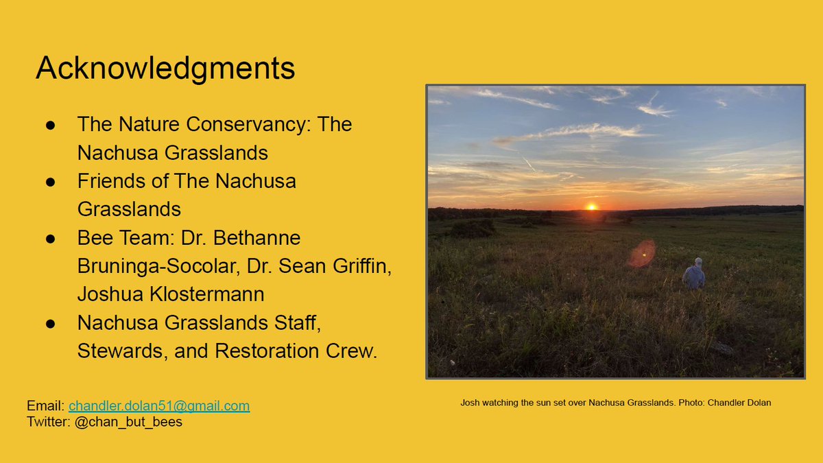 That's my talk in the form of a tweet! Thanks if you read this far, I enjoyed putting this together! Thanks  @Nachusa for allowing us the opportunity to learn about bumbles at the preserve. Thanks to the team  @beepunstings,  @larval_yeti, and Josh for the teamwork and mentorship