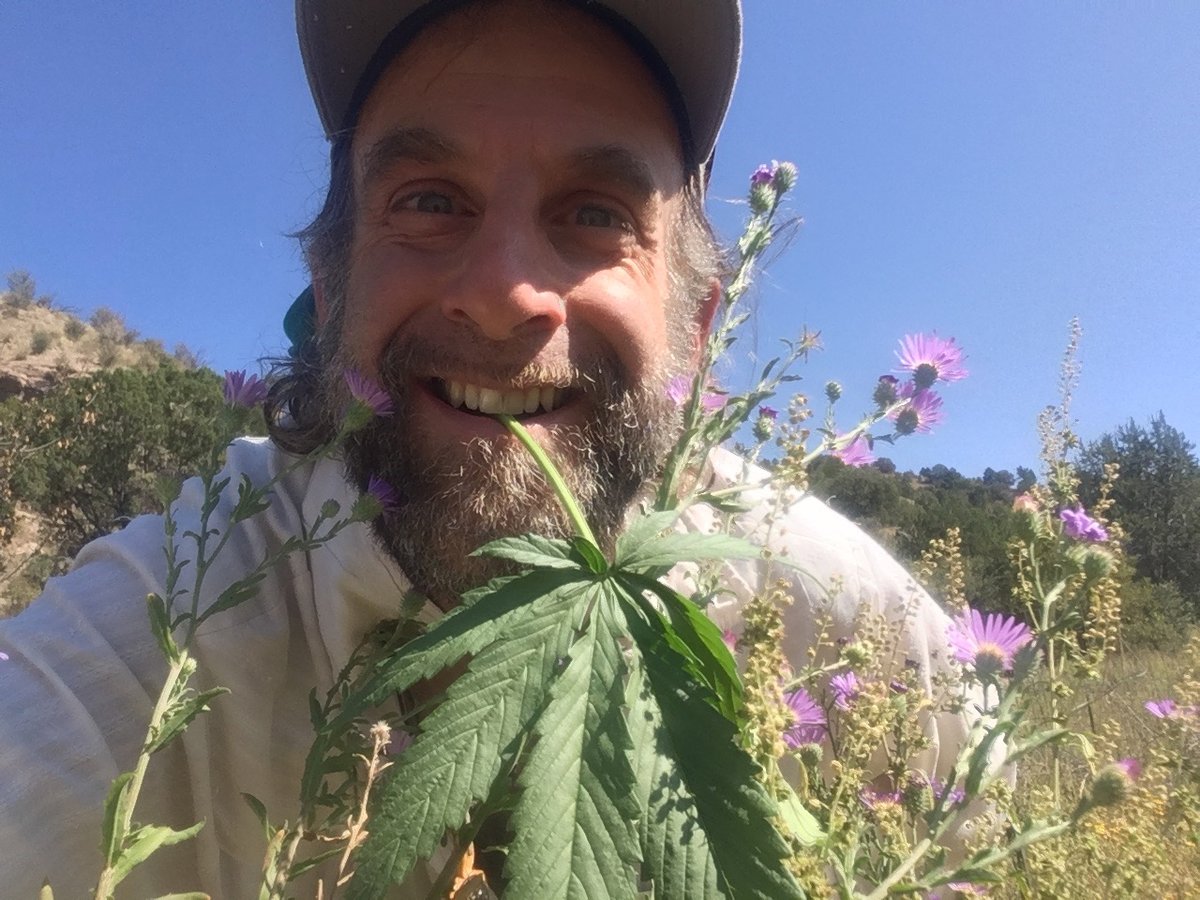 organiccowboy's tweet photo. It feels vital that #hemp seed becomes a staple-Its Omega balance, accessible minerals & protein make it a major tool in reversing the plagues of obesity & diabetes as I reported in #AMERICANHEMPFARMER Links: https://t.co/SUbw3TuYUi See y'all @the #HFUU Convention all weekend. https://t.co/PRFytXHRXM