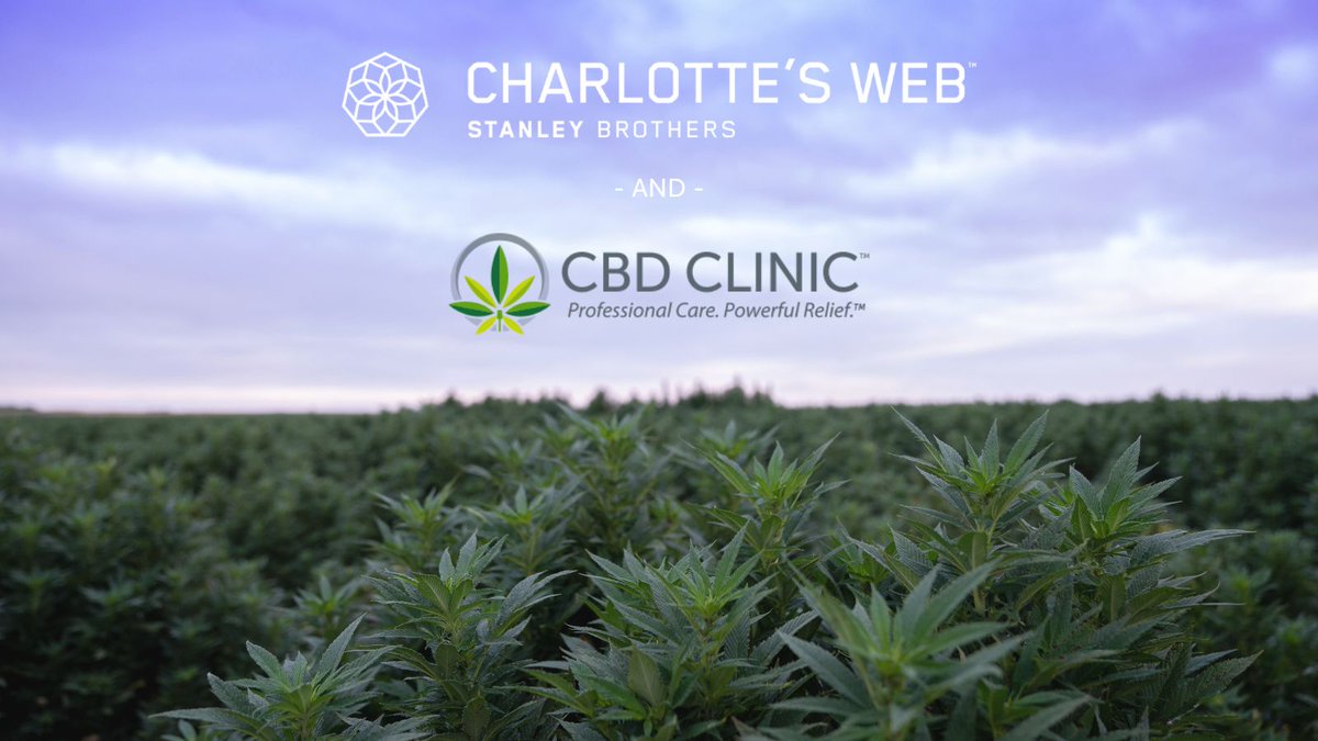 CBDClinic's tweet photo. With an unmatched dedication to quality, @CharlottesWeb is an industry pioneer, known for reliable, high-quality, and trustworthy ingestible CBD products. Now available to you and your patients!

Learn about The World’s Most Trusted Hemp Extract™ here: https://t.co/MP0IVXUzDS https://t.co/eEUMPIfrZt