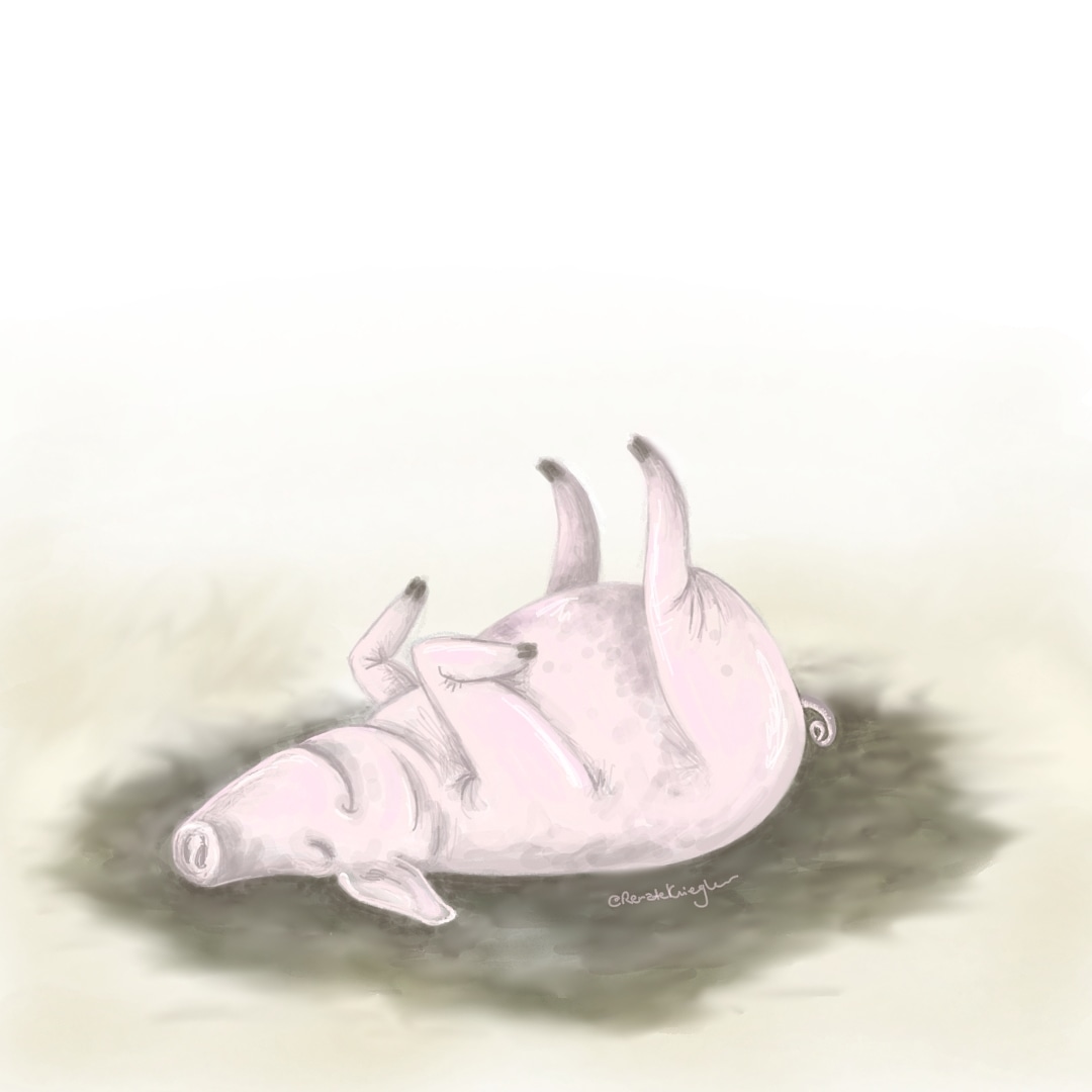 RenateKriegler's tweet photo. Today's feeling is HOG HEAVEN (aka A PlG IN SH!T).
How about you?
#InktoberMyWay #DrawingHowIFeel #LearningToFeel #NameYourOwnFeelings https://t.co/WrxTQ48YLF