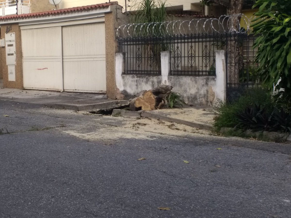 La Alcaldía de Sucre cumplió, ayer el último reclamo y hoy recogieron el tronco, falta que se lleven la raíz. Imapsas escuchó a la comunidad y dió respuesta @alcaldejvra @ImatSucre @jvrangelavalos @FaroComunitario @EquipoSucre @CaracasPlural @Caracas_Noreste @ImapsasOficial