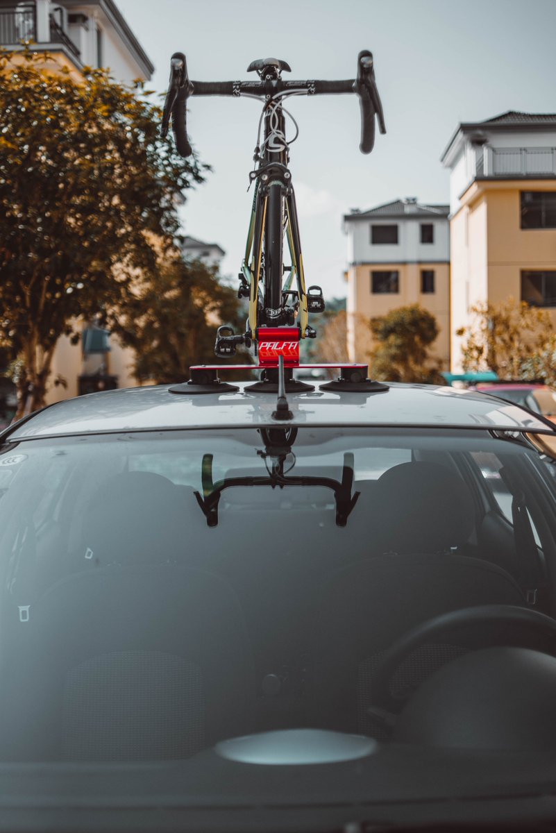 yangChew10's tweet photo. PAIFA and your road bike enjoy the perfect weekend! 
#cycling  #roadbike #BikeTO #bikenyc #cyclingphoto https://t.co/h8HS6TcPri