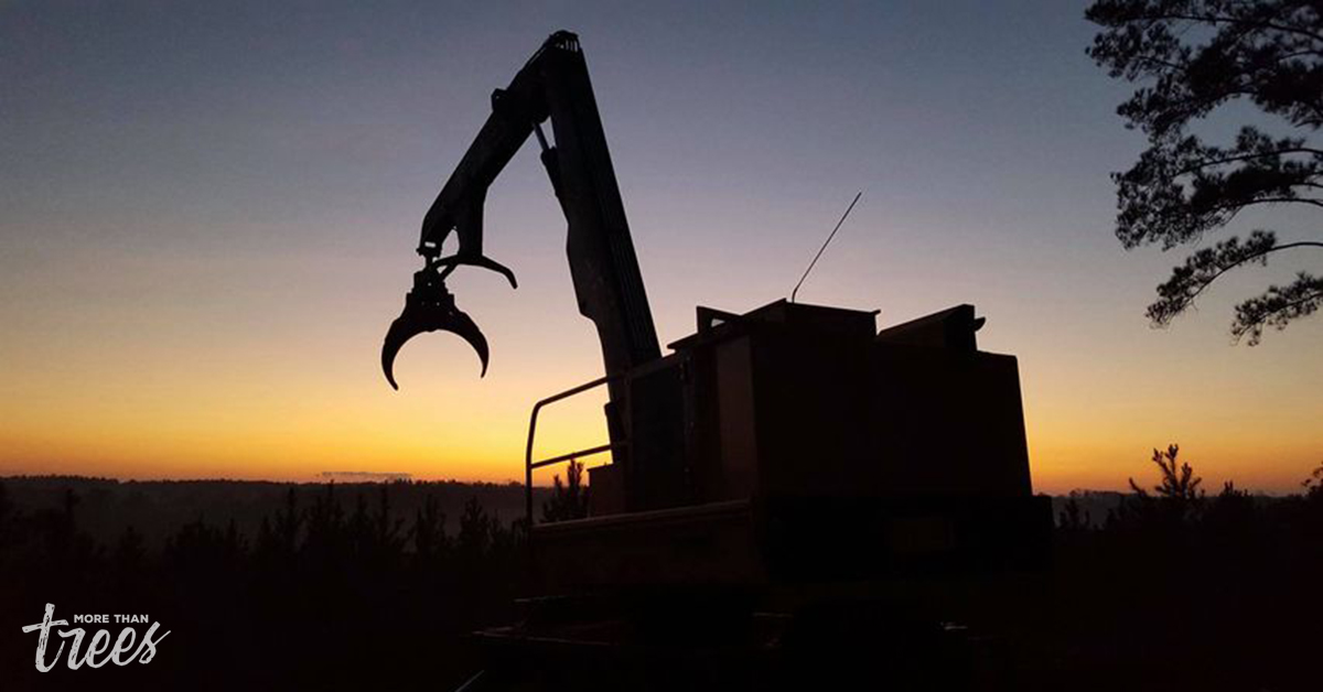 Rayonier tweet media