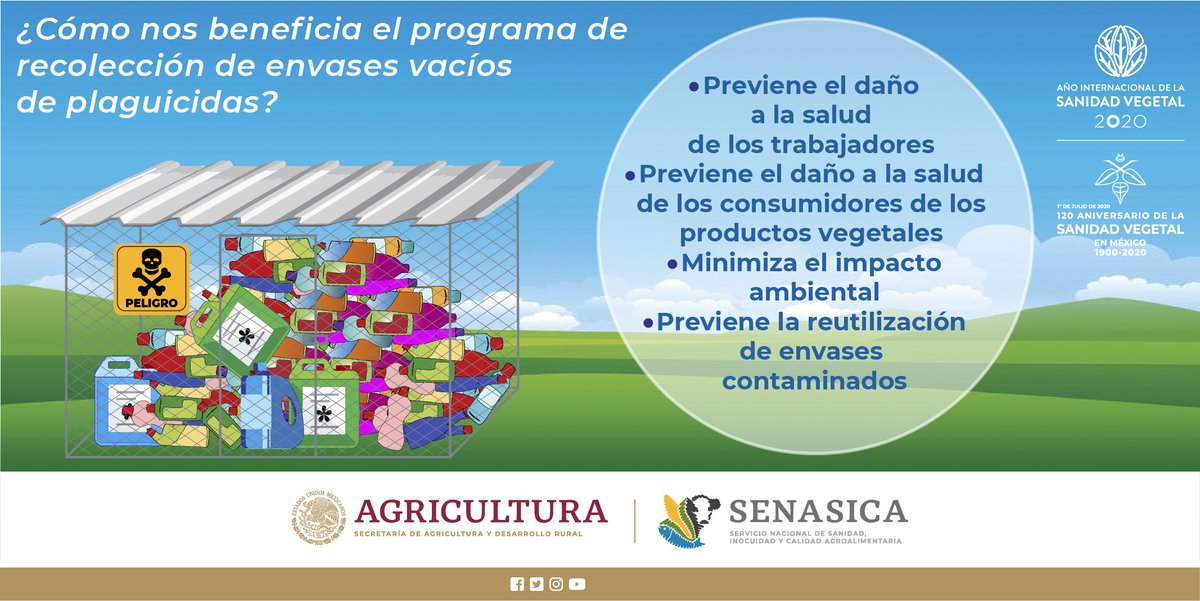 SENASICA's tweet photo. Conoce el programa de recolección de envases vacíos de plaguicidas, ingresa a https://t.co/VOIzhwnrk8 https://t.co/ushvWh5J3I