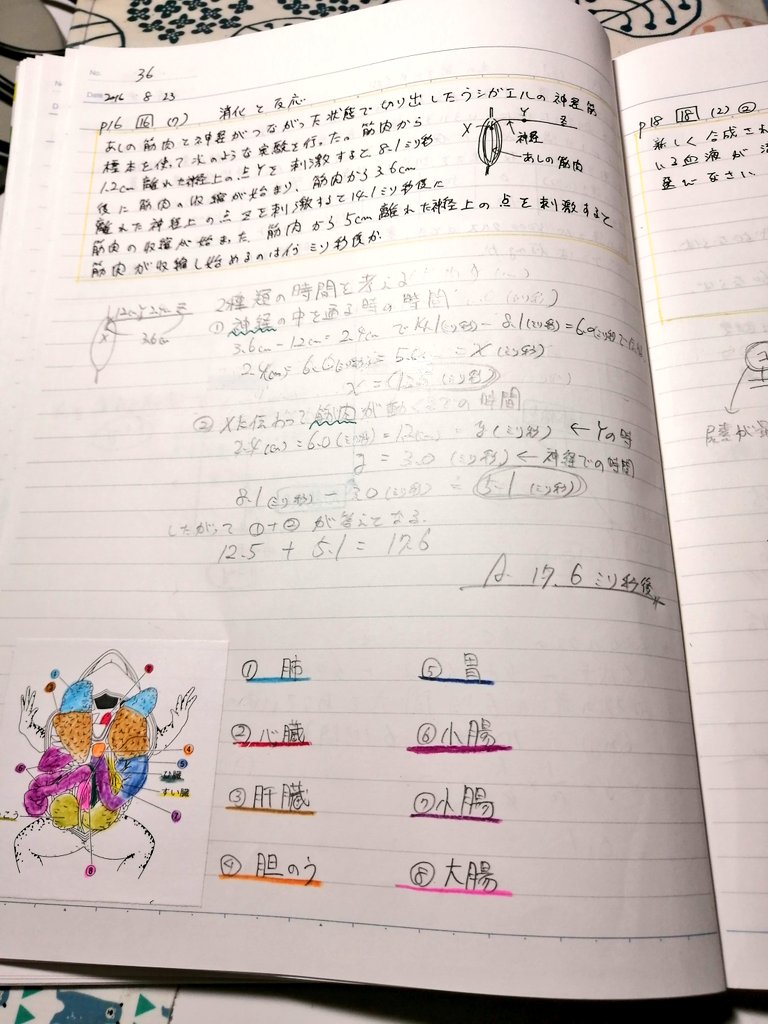 تويتر 理子 雑談女塾そふとめん على تويتر 勉強用ノート 昔の書いたノートです 自主勉強用のなので 覚える 後で復習できることを重視しています 時々ノートを見返してネタも探したりします 勉強 学習 理科 ノート T Co S6wpodnmch