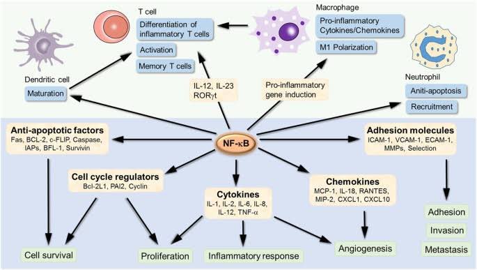 To OVER TRIGGER those markers. Specially the- Nuclear Factor-Kappa b, this one is POWERFULIt skyrockets EVERY INFLAMMATORY THING in your body.