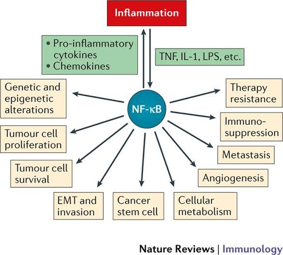 To OVER TRIGGER those markers. Specially the- Nuclear Factor-Kappa b, this one is POWERFULIt skyrockets EVERY INFLAMMATORY THING in your body.
