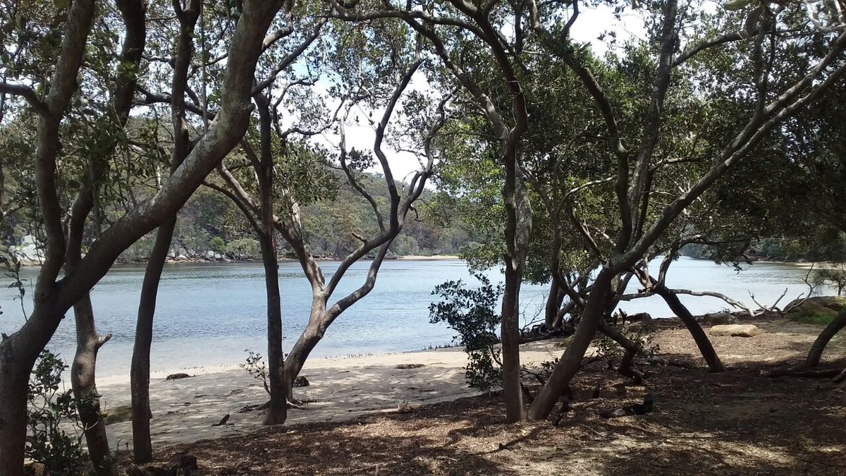 pfwaus's tweet photo. Outlook across the Hacking River at Swallow Rock Reserve #GraysPoint #TheShire #Sydney #NewSouthWales #NSW #Australia #travel #TravelOz #nature #ilovesydney https://t.co/2tDgIhDLuQ