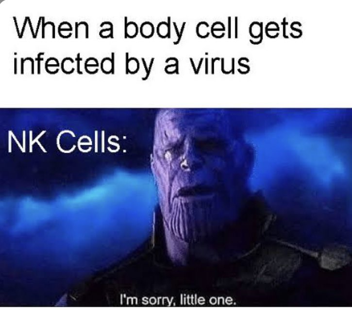 NK Cells KILL specific infected cells.I’ll use this to explain it: