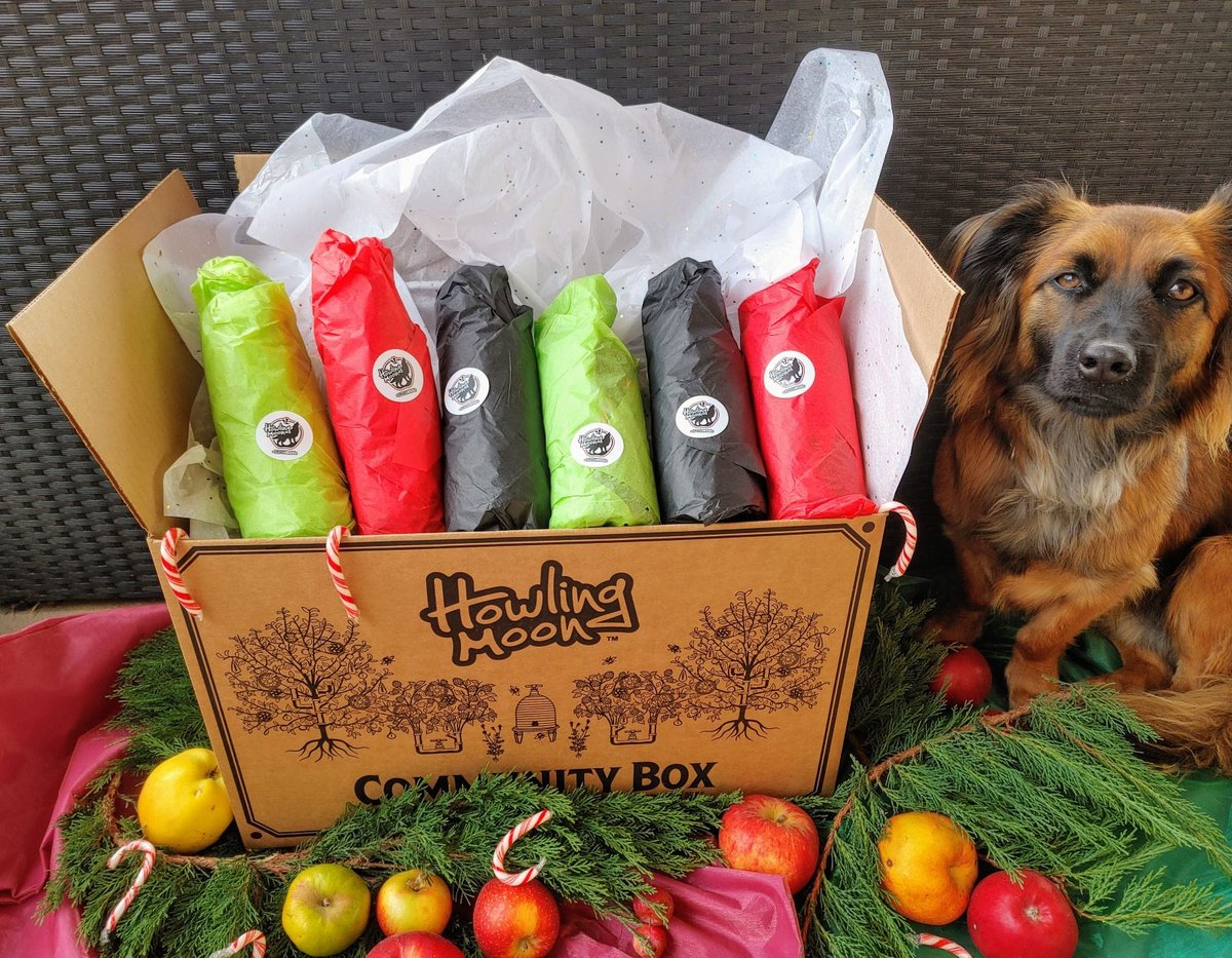 HowlingCider's tweet image. Celebrate the holiday spirit with hand-crafted apple cider!

Howling Moon&apos;s 12 Days of Cider community boxes are full of delicious surprises - a calendar of individual bottles hand-wrapped in festive tissue. 

howlingmoon.ca/collections/12…

#LiveFreeLoveCider
#BuyBC
#BCFarmCraftedCider