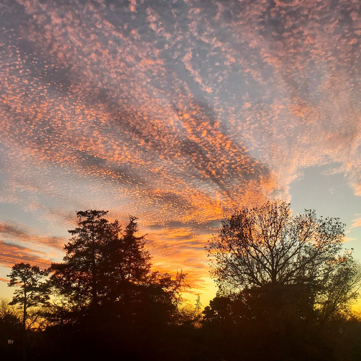 Onyx127's tweet photo. I love when God's work stops me in my tracks. How beautiful it is! #WhoElseButGod https://t.co/281PDlMbaA