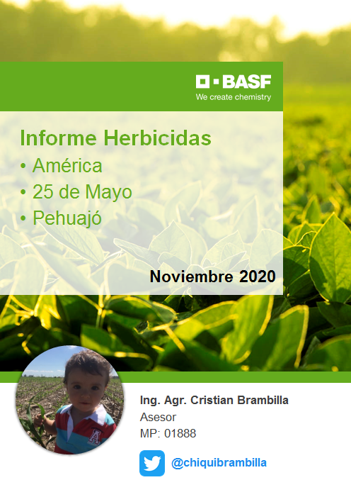 ClaudioSaenz9's tweet photo. Situación Malezas y BQ. Tercer Informe Asesores Zona America/25 de Mayo/Pehuajo. Muchas gracias 
@chiquibrambilla 🌱🔍📝💪
Proximo Informe 14/Diciembre
@BASF_Agro_ARG
#BASFinformes
https://t.co/dtPxB3EYD8 https://t.co/oXJvOzxNIQ