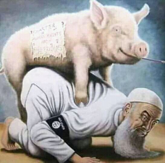 Buddho tweet media