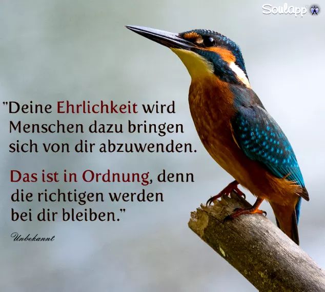 BelleslastHope's tweet photo. Dem ist nichts mehr hinzu zufügen

#spruch #wahrheit #nachdenken # https://t.co/8XoWl707lO