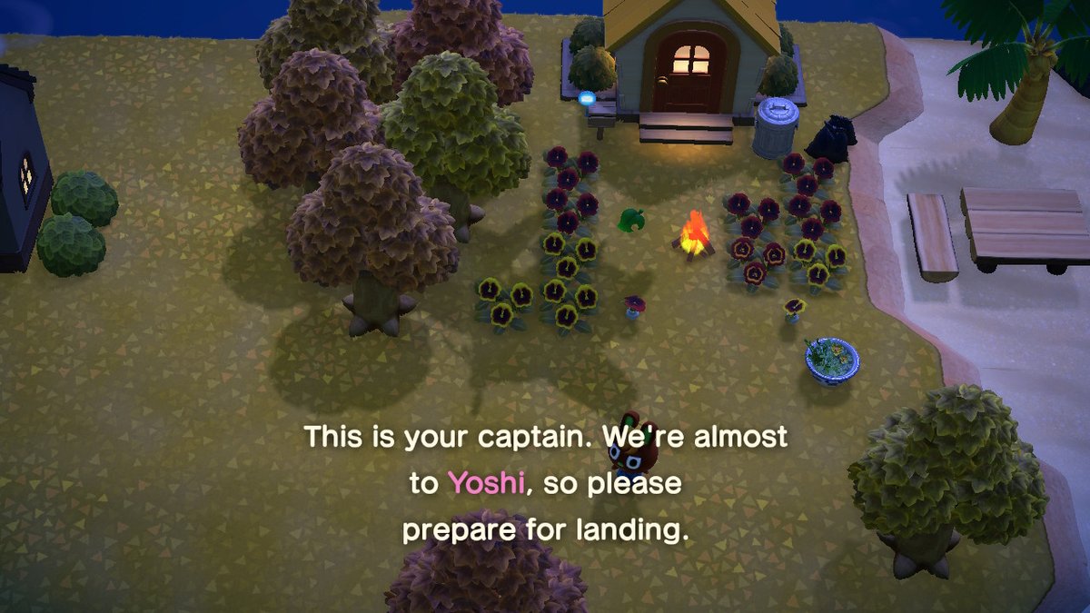 don2a's tweet photo. #AnimalCrossing #ACNH #NintendoSwitch https://t.co/6K7QnwOtie