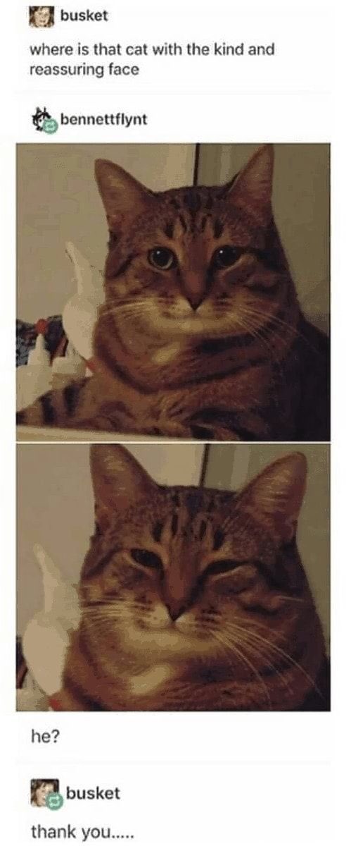 HE LOOKS LIKE 