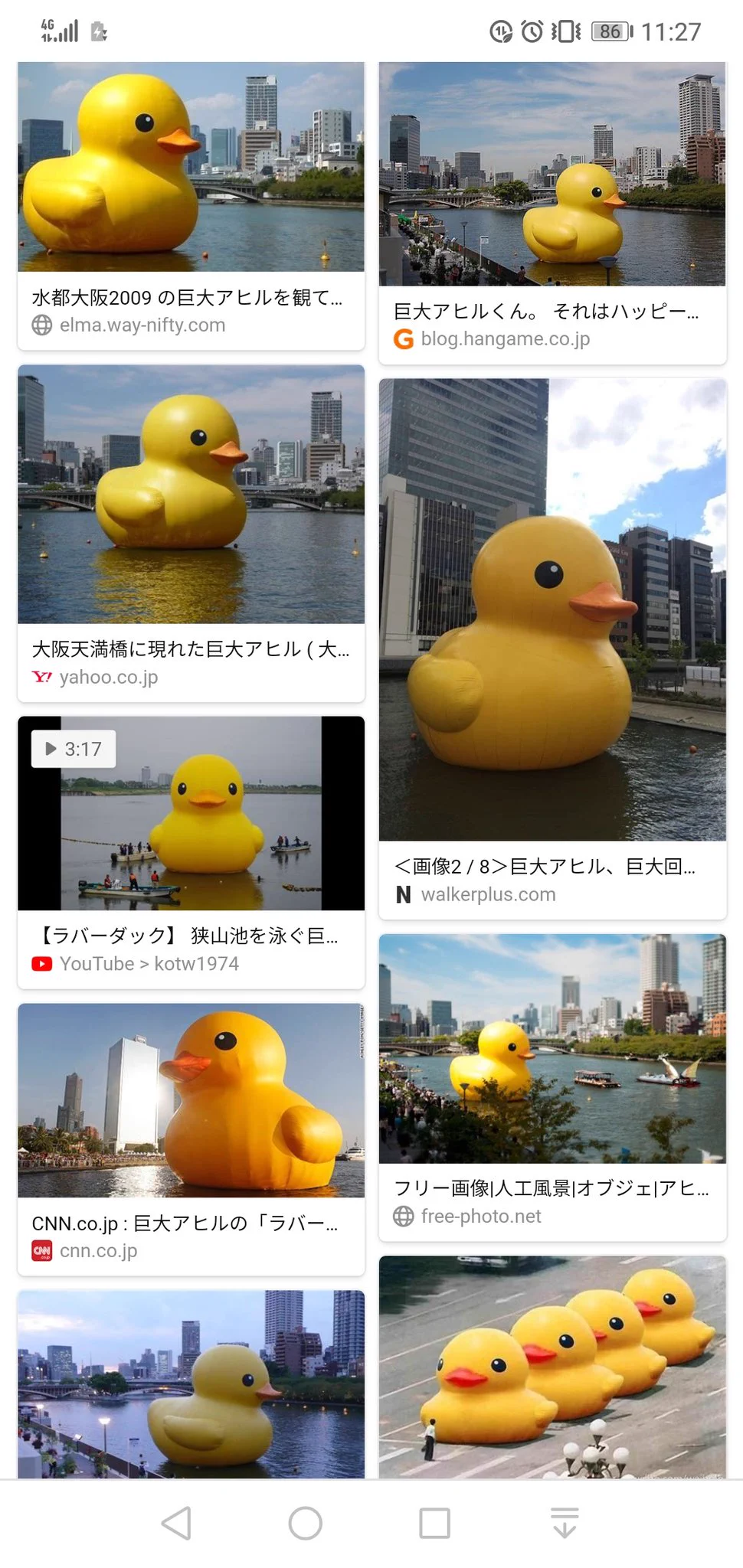 @nakazeean @fordforest 育つかなぁ！？www 