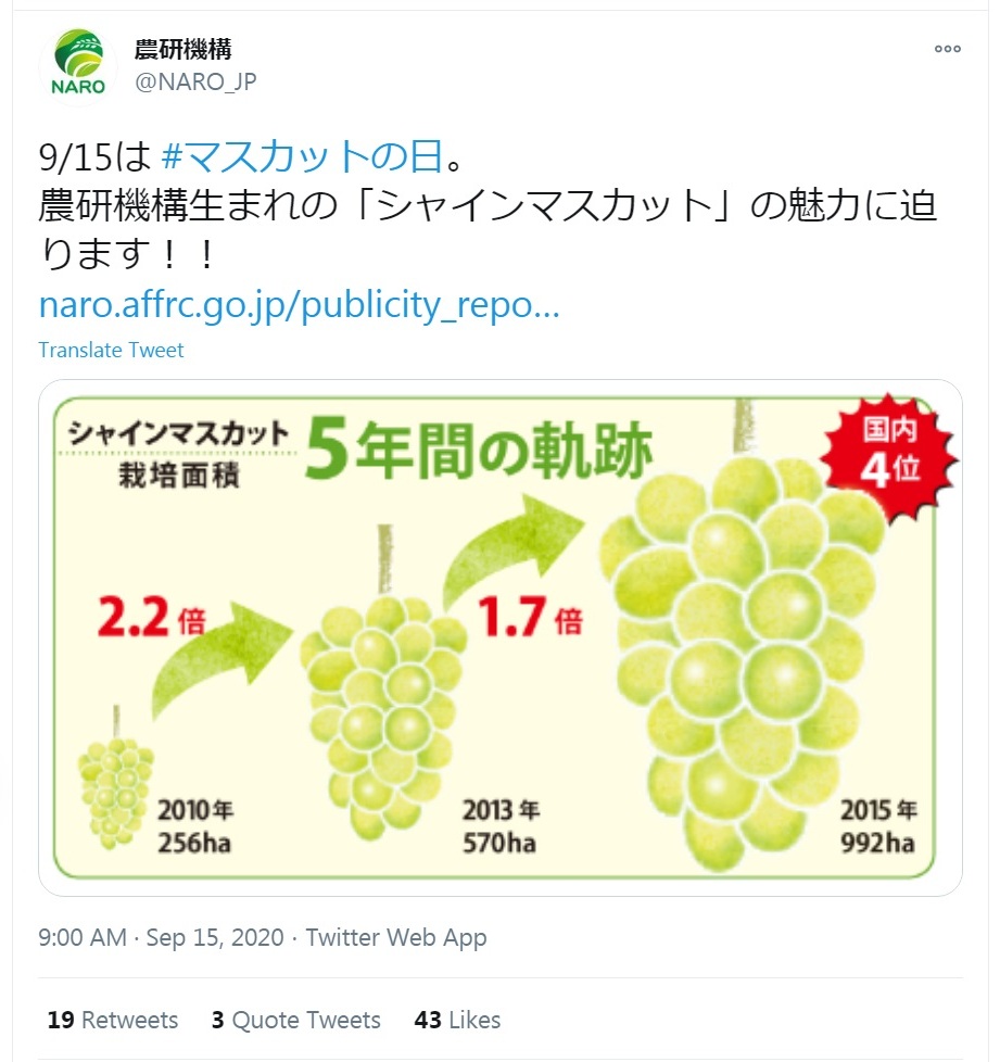 Baltan33's tweet photo. 農水省の茶番！
「シャインマスカット」の早期普及と栽培技術の定着に向けて、日本のブドウ専門家を招いて、ブドウ栽培技術教育

韓国、イ・ジェホン所長「シャインマスカットブドウの栽培技術をしっかりと学んで、慶山ブドウの競争力を高めていこう」

#種苗法改正案を廃案に
https://t.co/W3g49OMVZA https://t.co/PxB33oIZJC