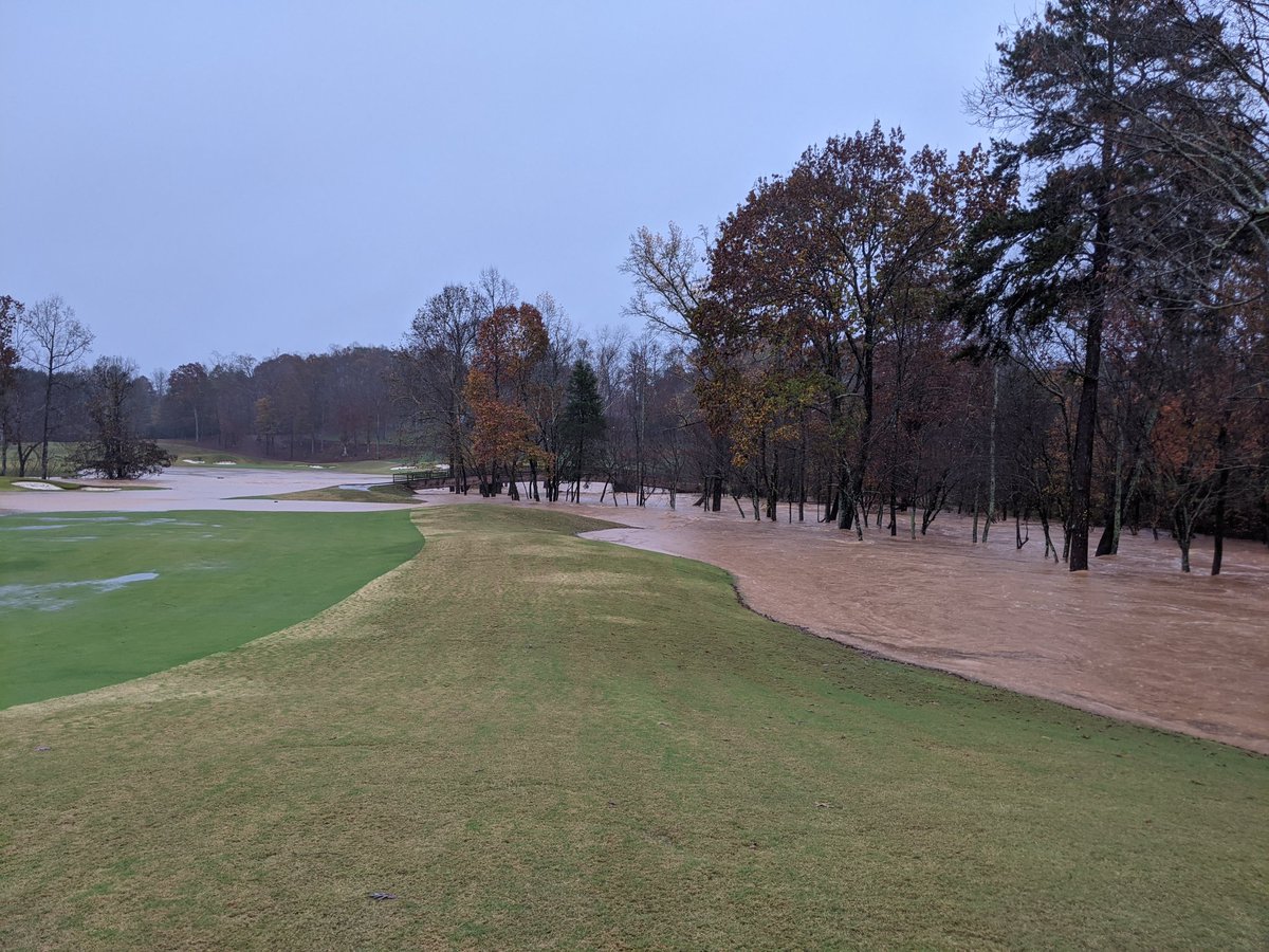 JRobertsonGolf's tweet photo. We had some severe flooding but I can't get over the color of our fairways on 11/12/2020.  #extremegreen https://t.co/2AmPEdZTBw