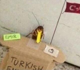 terrxru's tweet photo. EMIR https://t.co/nm2Oturo4w