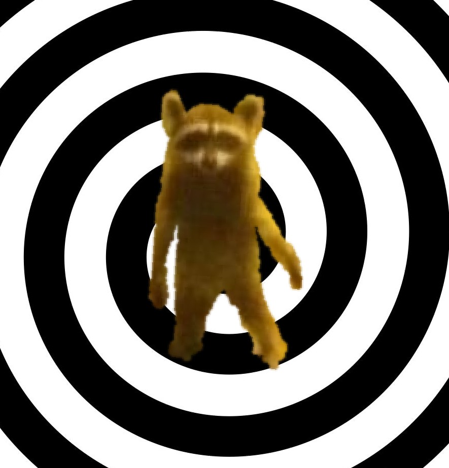 Racccccoooooon's tweet image. #wewerehere