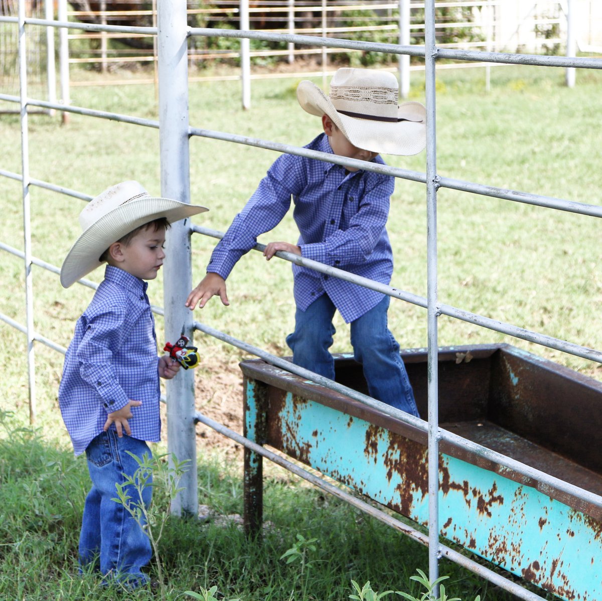 The farm: Where the best memories are made and life lessons are learned. Because no one remembers the best day of watching TV.