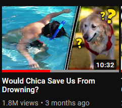 AwesomeNinja_TM's tweet photo. #wewerehere

Since the beginning 

365:00:00:00

Birthday video was our favorite dog Chica https://t.co/KmSKMyvXlU