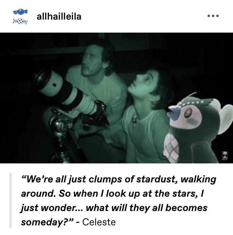 I was here from day one by a wondrous random chance. I saw what you wanted to do and I loved it. I wanted to join this journey so I can mourn this day. Thank you for this feeling. This was my favorite edit I made this year.   #WeWhereHere