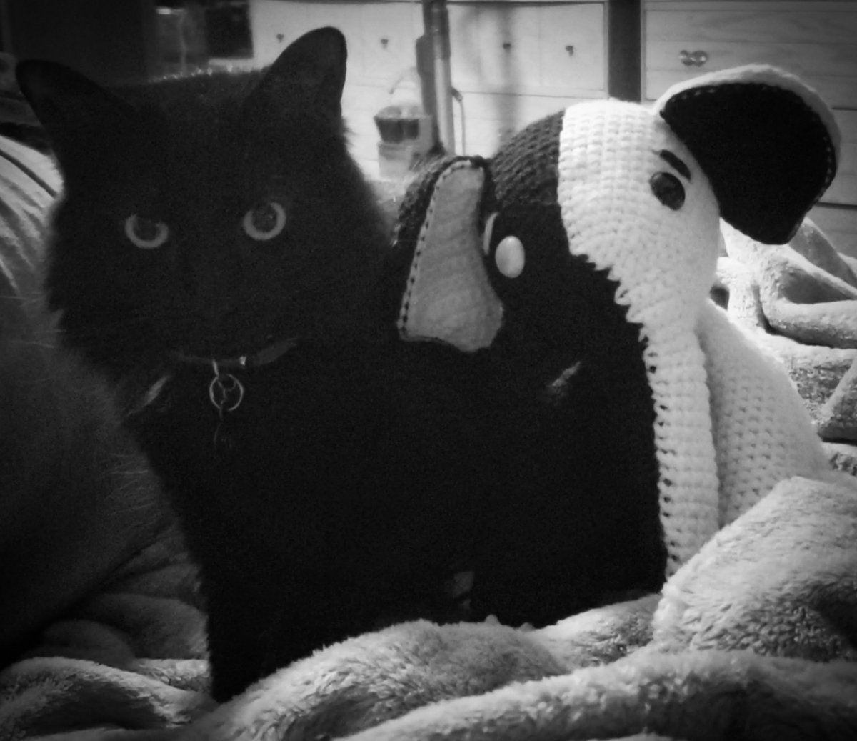 kiseiscreations's tweet photo. Crocheted an Unus Annus elephant because an elephant never forgets. It's been a great year guys, thank you for all of the laughs. Memento mori! 
Got on the hype after A Heist with Markiplier and have been here since day one!
 #UnusAnnusisoverparty #unusannusfanart #wewerehere https://t.co/yzSf1jPkid