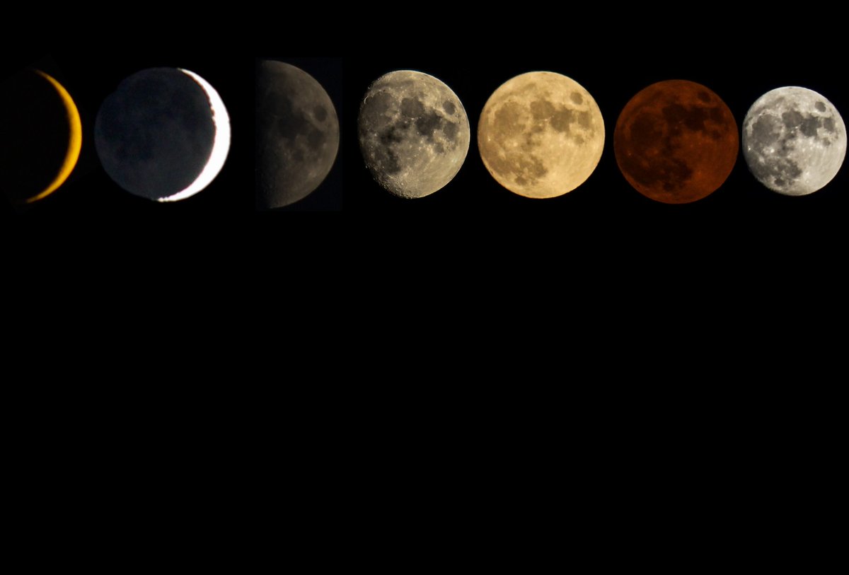 qaanith_masoodi's tweet photo. Just like the moon, we too go through phases.
📷: @qaanith_masoodi https://t.co/e5CQFD9JYU