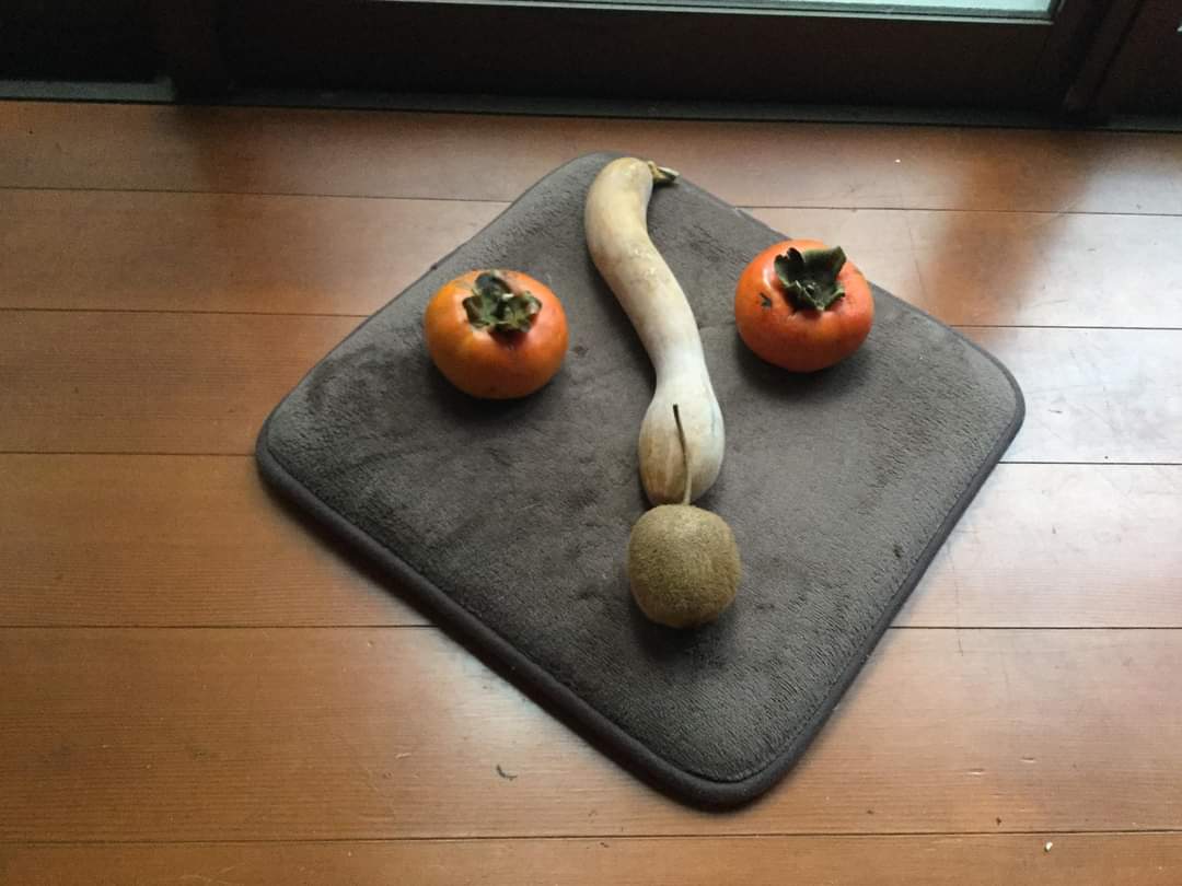 Haikake's tweet photo. 秋の収穫　柿、キユウイ、柚、カボチャ、、、

座布団の上に並べて見ました。秋の顔の始まり〜〜、始まり〜〜 https://t.co/h1pyEx1WBI