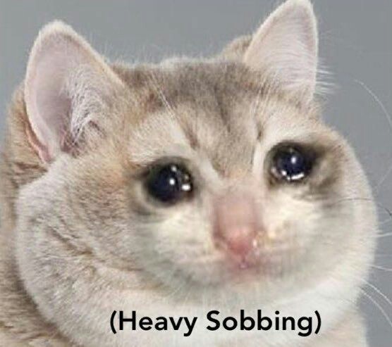 Twice No Twitter Twice Lovely Bluetooth Speaker With Twice S Voice Pre Order Starts 11 16 Mon Twice 트와이스 Lovelyspeaker