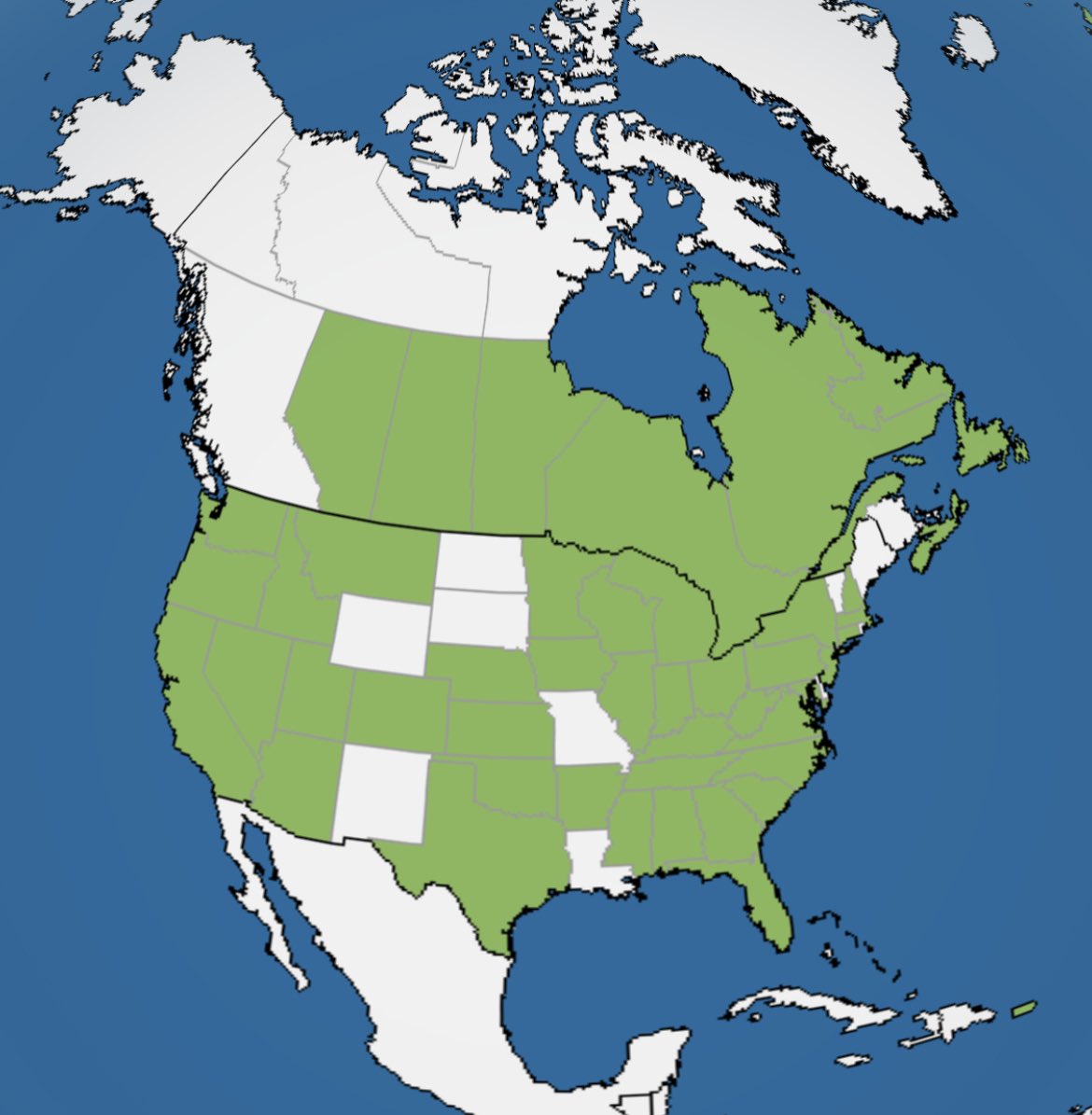 PascoSheriff's tweet photo. Update on tonight’s #9PMRoutine map!

RT if your location is green! https://t.co/KmySJGXmrw