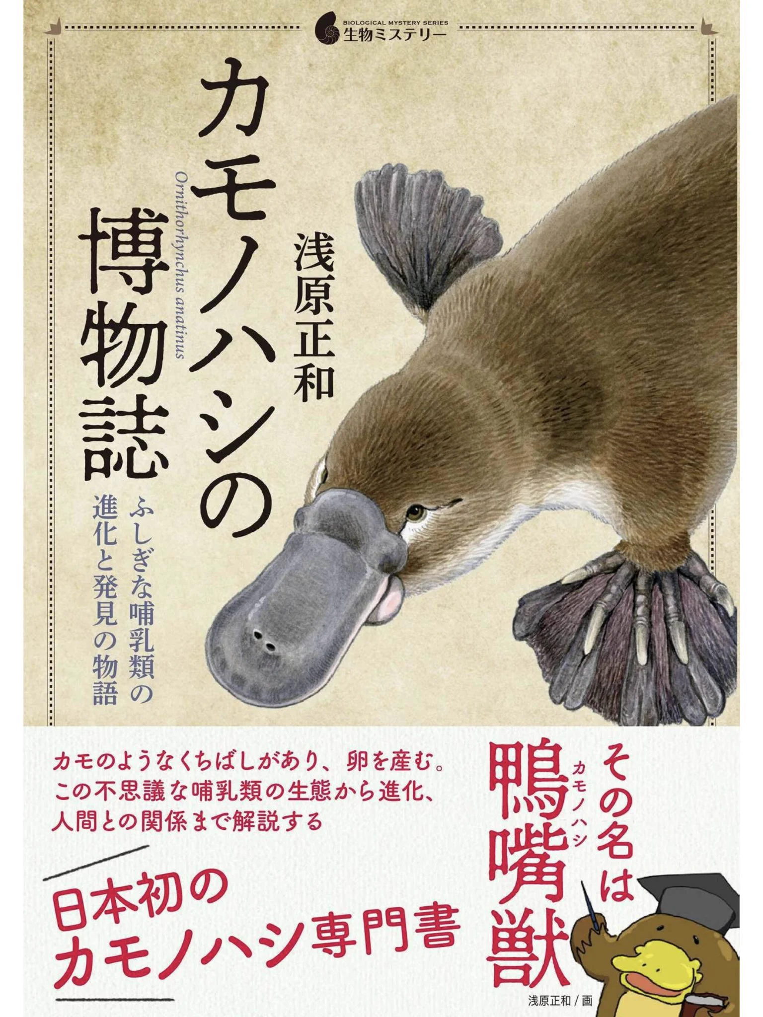 カモノハシページ ぬまがさワタリ@特別展「鳥」大阪展（〜6/14） on X: 