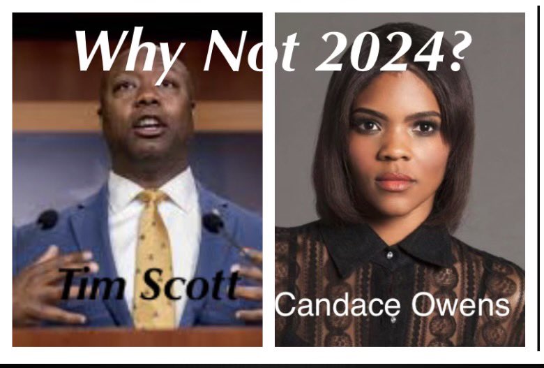 I’d vote for this ticket🇺🇸 ⁦@TimScottSC⁩ ⁦<a href="/RealCandaceO/">Candace Owens</a>⁩ #LiberalMeltdown