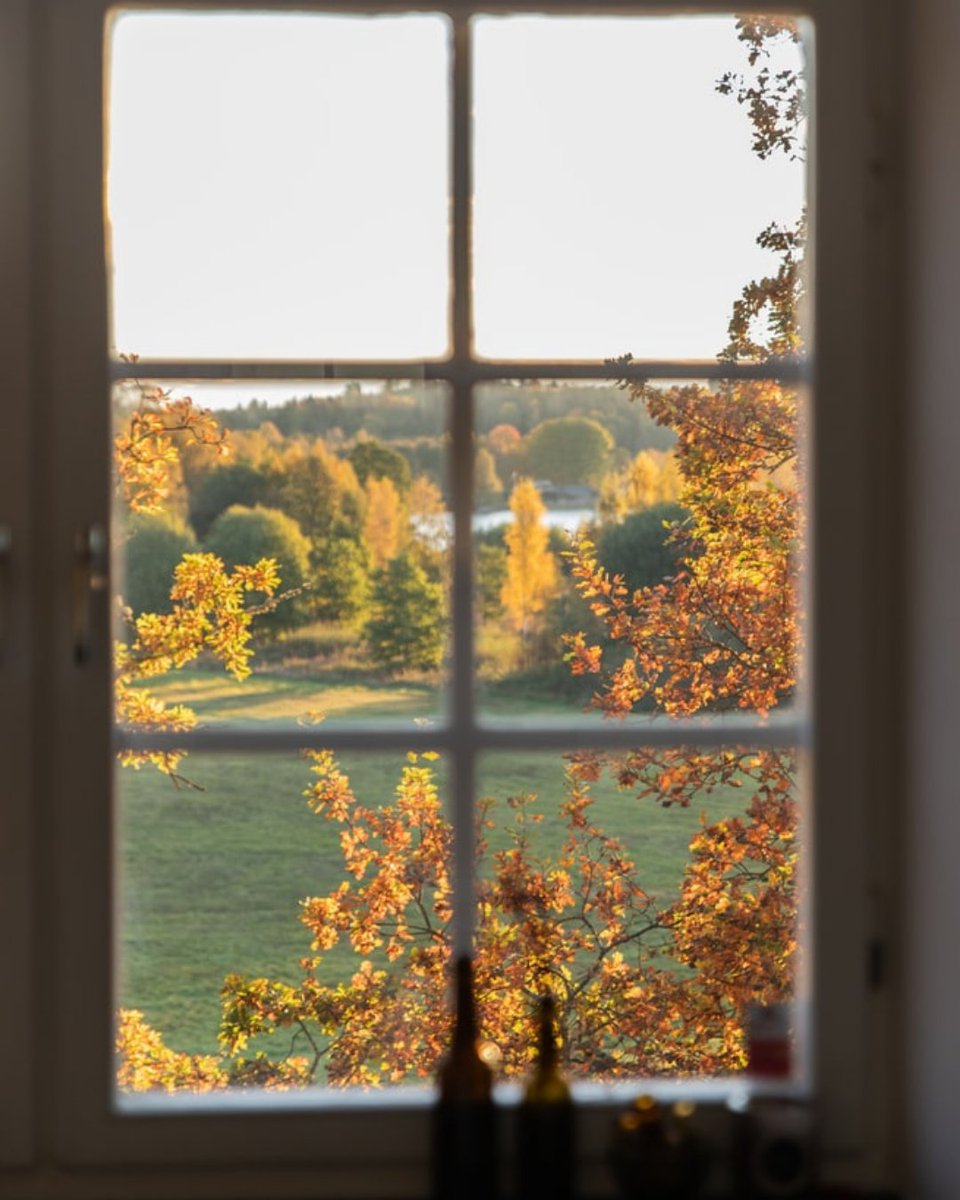 What's your view like this weekend?

#fallfoliage #autumn #fallleaves #autumn #fallcolors #hygge #hyggehome #cozyhome #fallhome #november #window #homeview #newyorkhomes #connecticut #longisland #newjersey #tristate #interiordesign #decor #interiors #interior #homedesign #homes