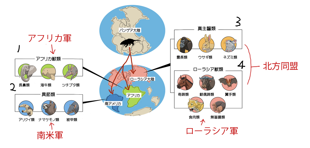 川崎悟司 哺乳類 の真獣類 の系統を ゾイド化して妄想しているけど このミリタリーバランスの悪さ どうにかならんかな笑 川崎悟司 哺乳類 の真獣類 の系統を ゾイド化して妄想しているけど このミリタリーバランスの悪さ どうにかならんかな笑