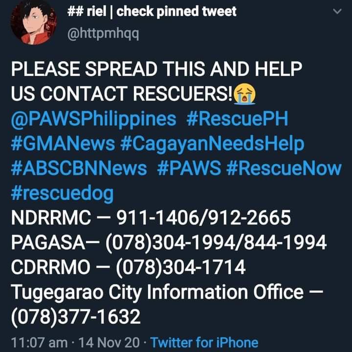 JAHnginamo's tweet photo. PLEASE SPREAD‼️‼️‼️

SAN MATEO DOG POUND NEEDS HELP dogs are still trapped in the roof for an hour and has been waiting for rescuers to help themm😭 please share this for faster help response with these animals.

#CagayanNeedsHelp 
#IsabelaNeedsHelp
#RescuePH
#CagayanNeedsHelp https://t.co/FJsltSoK92