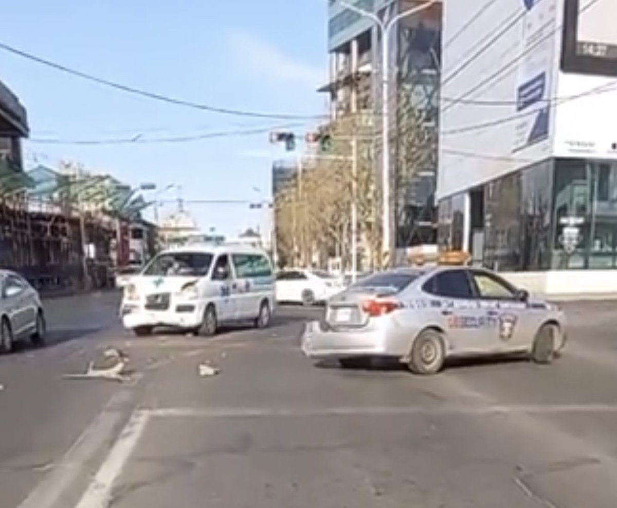 Bayar (@bayar_1010) on Twitter photo 