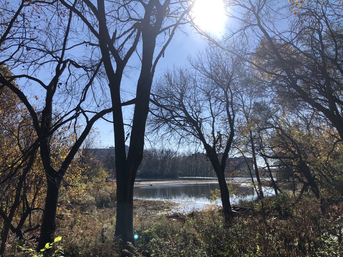 FourLeafClover's tweet photo. I spent the majority of my day at my internship creating a walkable path and doing #invasivespeciesremoval. Completely exhausted, but worth it. Even had a view! @INCCArena https://t.co/65OX48T9XU