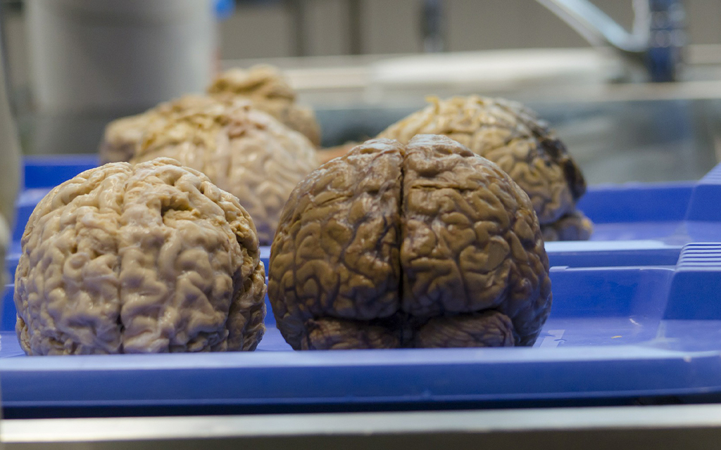 Aristegui Noticias tweet media