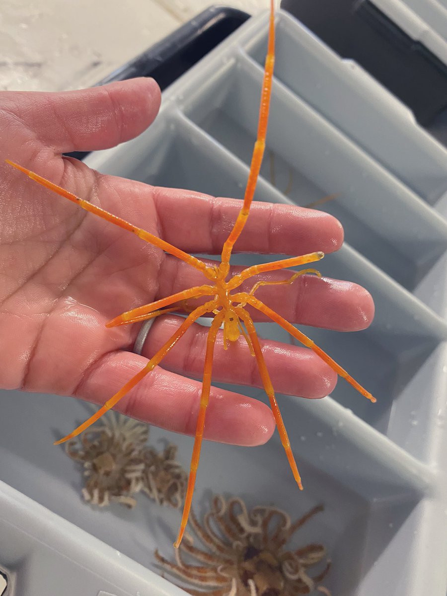 Rebecca Varney tweet media