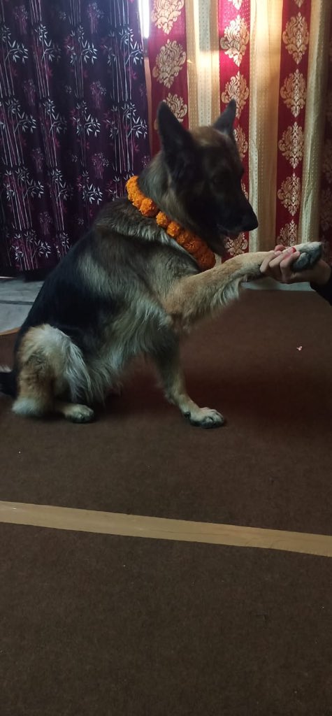 Happy tihar my dear bro