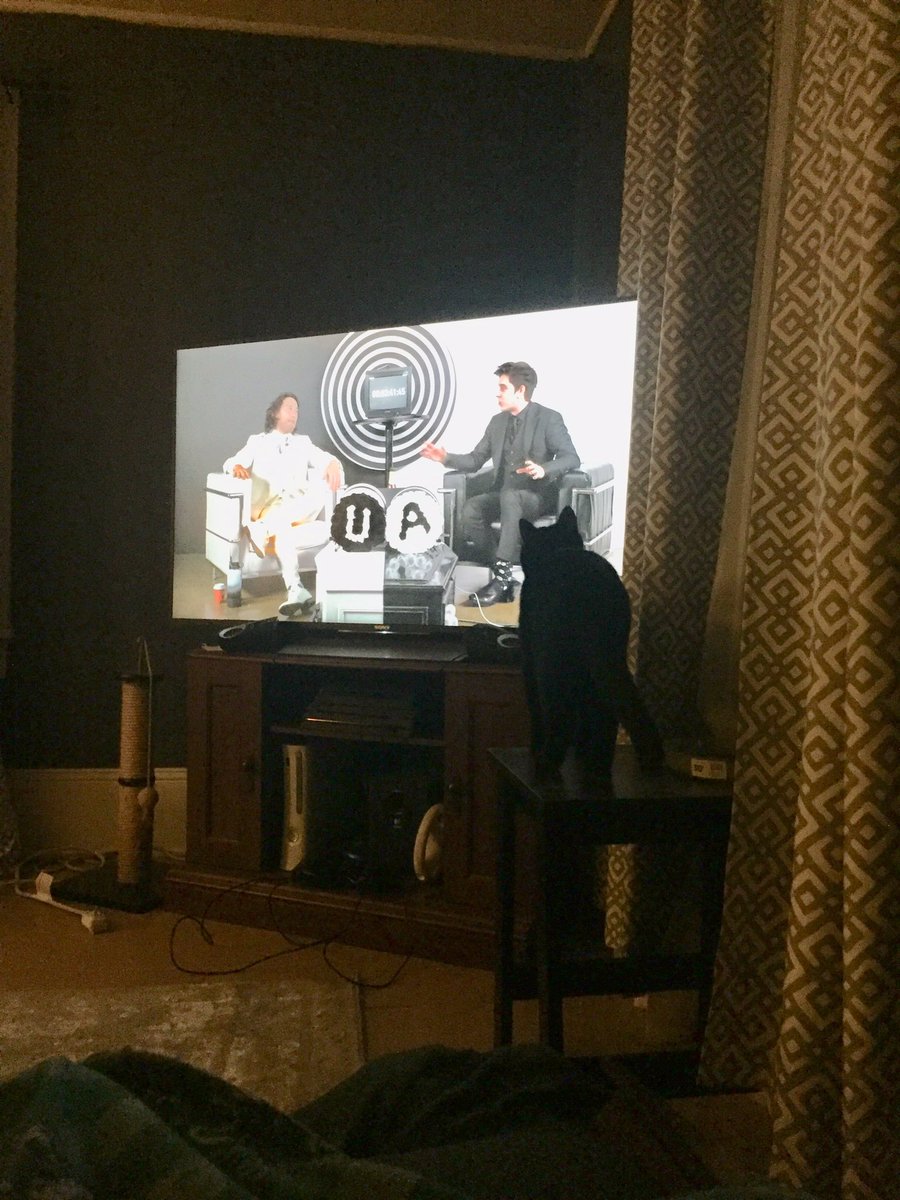 AeschereKnight's tweet photo. Ori is also saying goodbye. He’s watched every video with me. Memento Mori from a little black cat 🖤 @UnusAnnus #WeWereHere #UnusAnnusisoverparty https://t.co/L3b2DznDsX