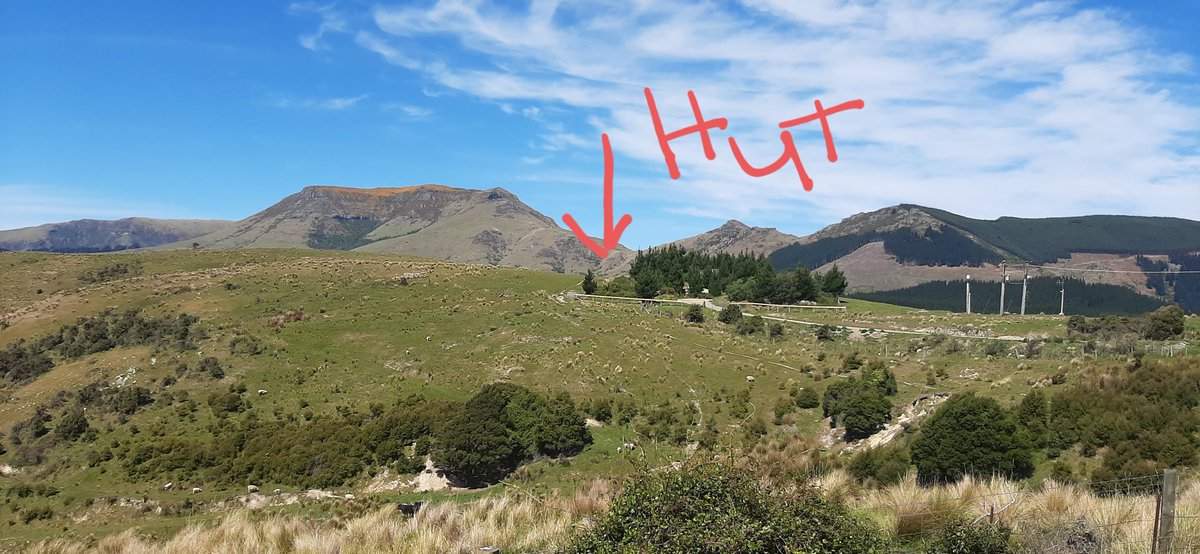 First hike of summer done. Nearly killed me. Gebbies Pass up to the Packhorse Hut. Didn't seem too daunting on paper.