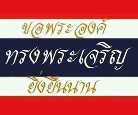 K9 (@k925742969) on Twitter photo 