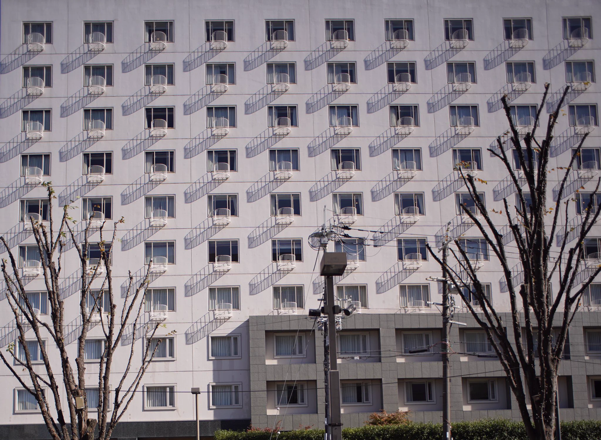 現代アートのようなだまし影？まさにアートの世界だ！！