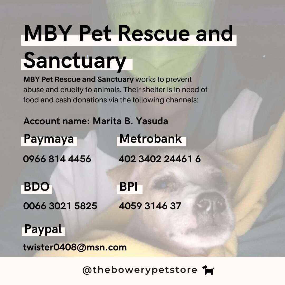 superstarhoshi's tweet photo. If you want to donate to dog shelters: https://t.co/hhMGzP3Hza