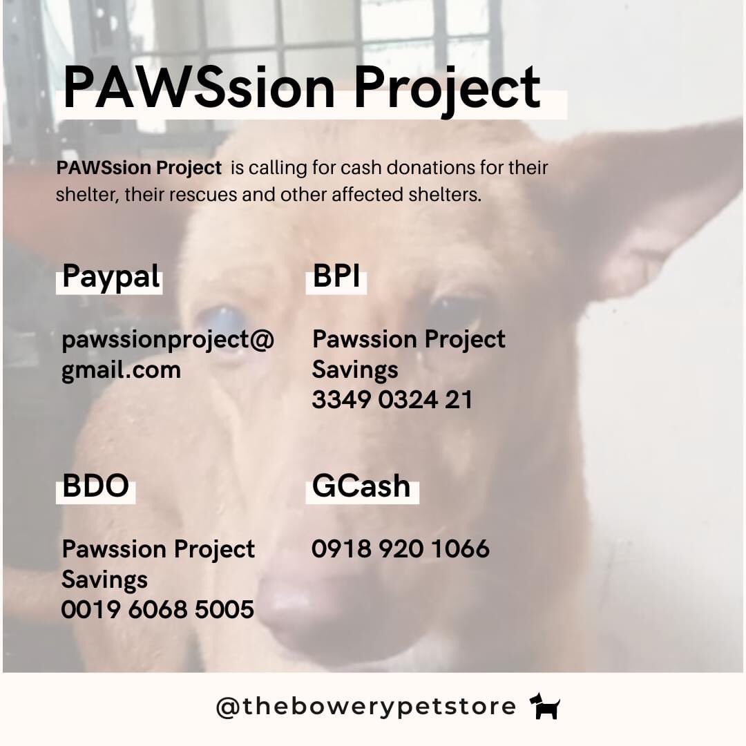 If you want to donate to dog shelters: